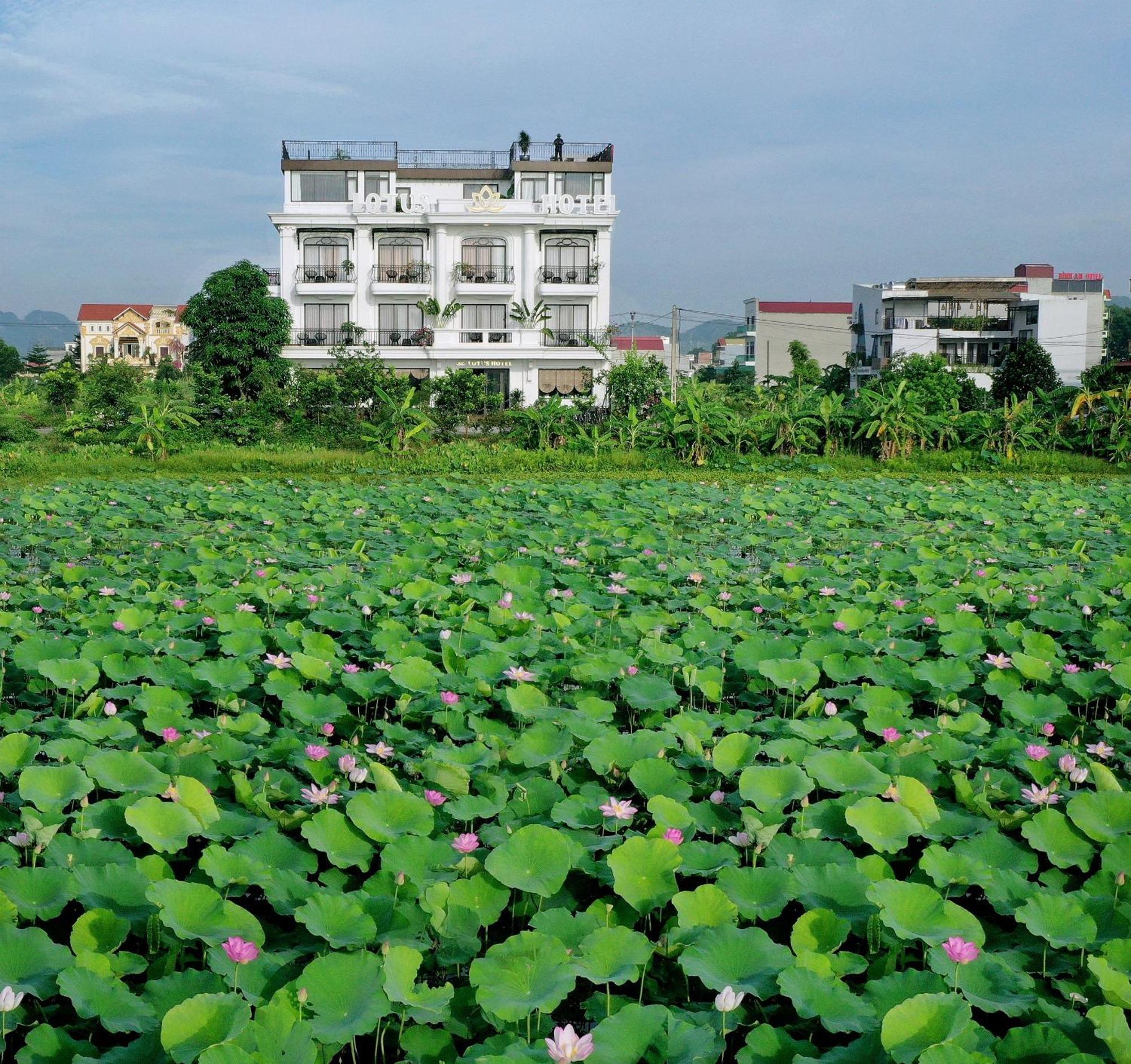 Lotus Hotel Нин Бин Екстериор снимка